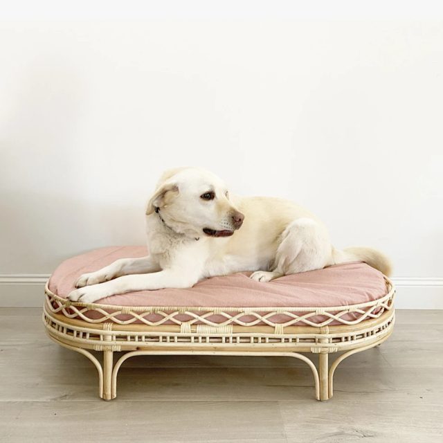 Hot Sale Rattan Pet Bed (1)