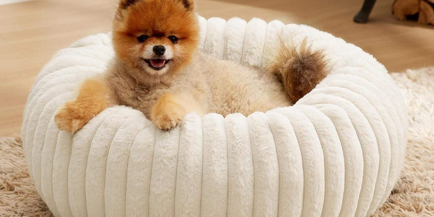 All seasons donut dog bed for dogs