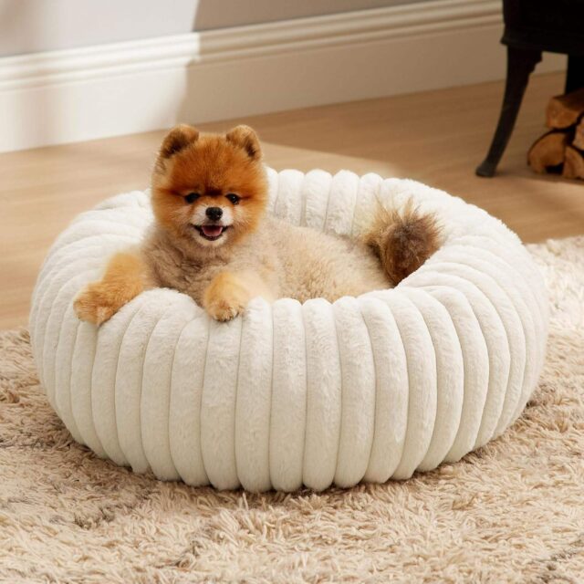All seasons donut dog bed for dogs
