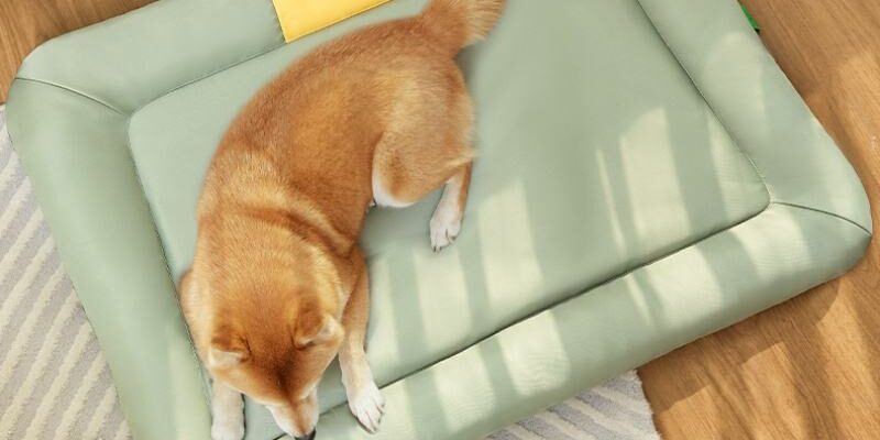 bolster dog bed with washable Oxford fabric