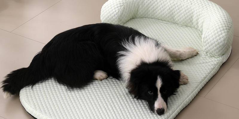 Summer cat cool mat pad for dogs