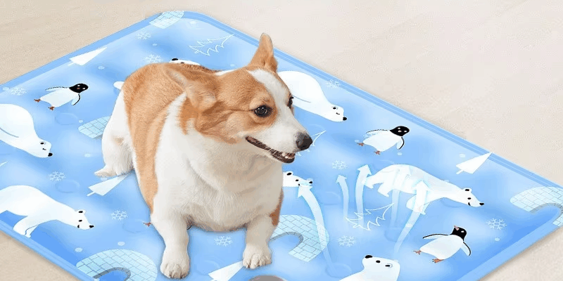 crystal cooling pet mat for dogs