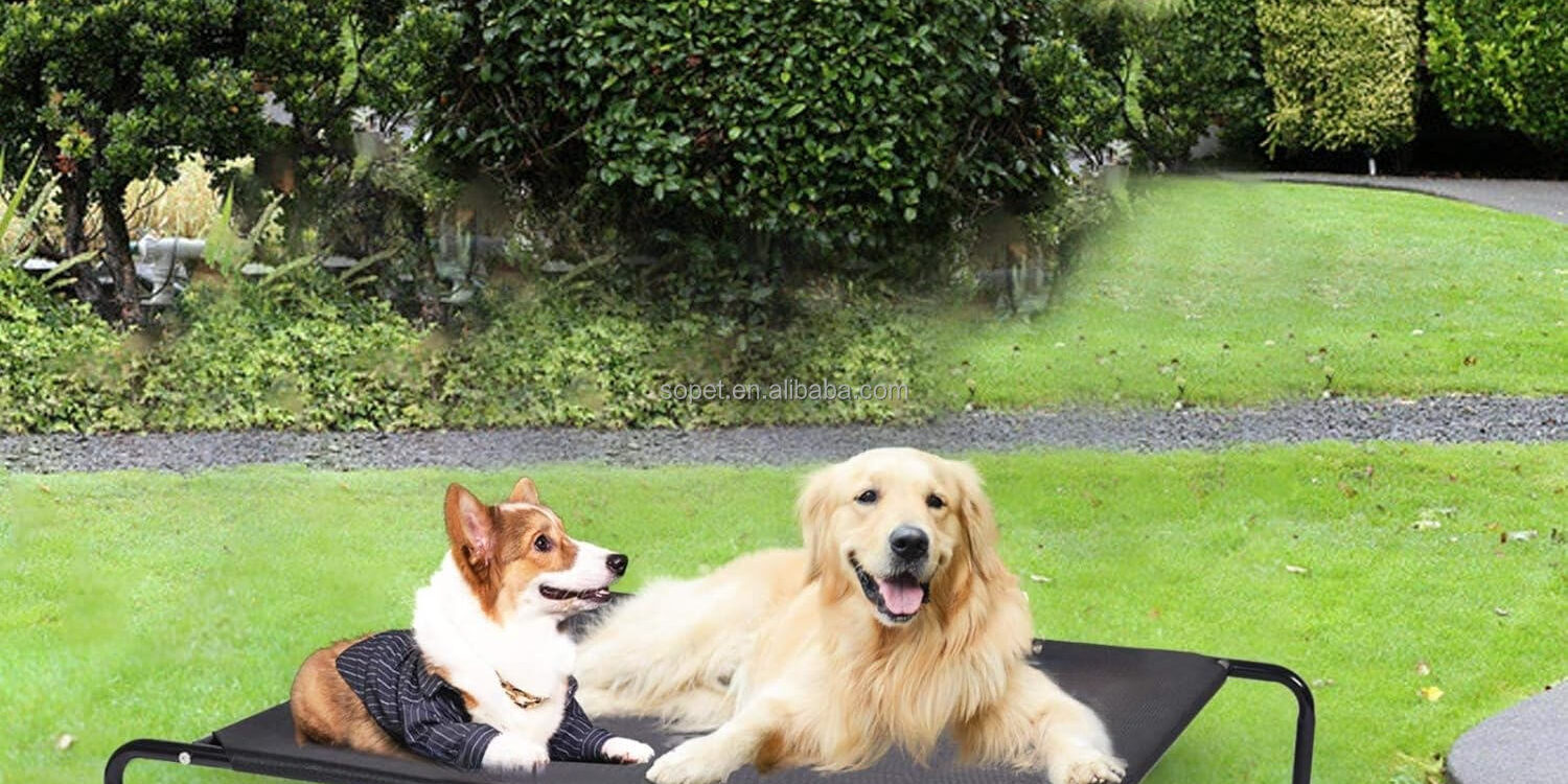 Cooling raised elevated dog bed