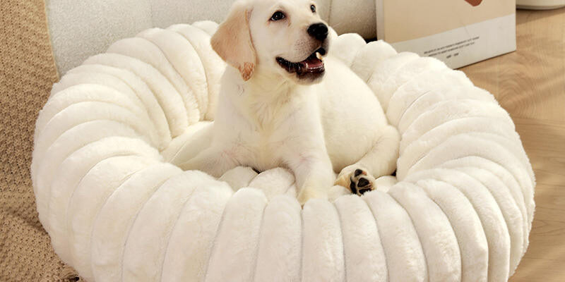 Custom luxury donut pet bed