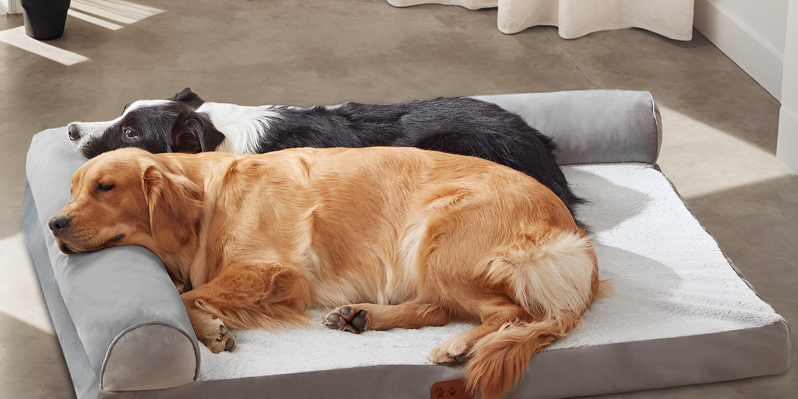 orthopedic memory foam dog sofa bed