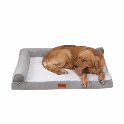 orthopedic memory foam dog sofa bed