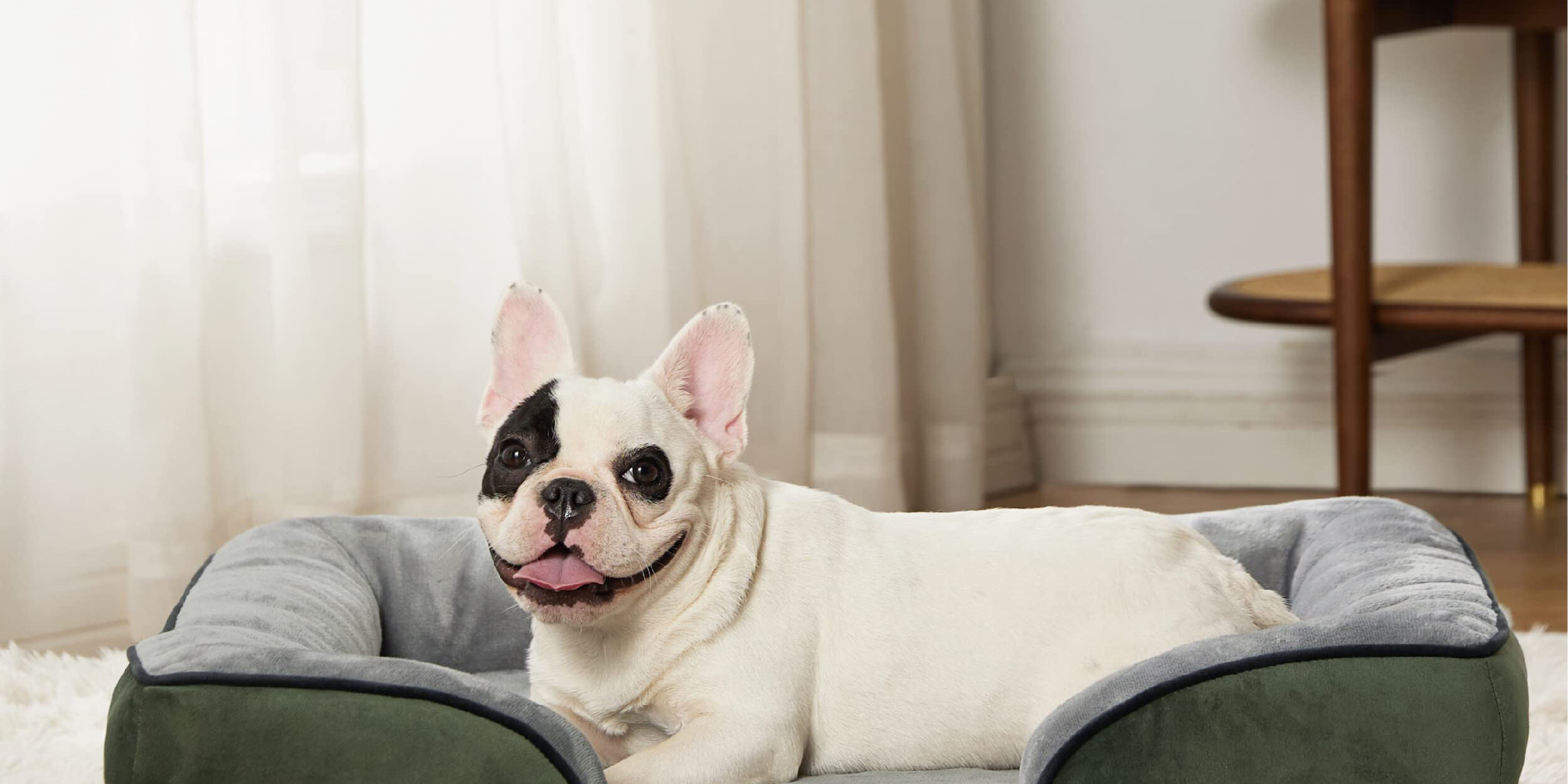 Custom orthopedic bolster dog bed