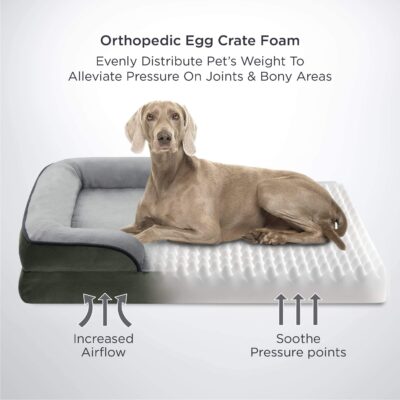 Custom orthopedic bolster dog bed