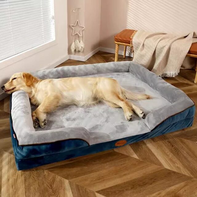 orthopedic dog sofa bed for large dogs