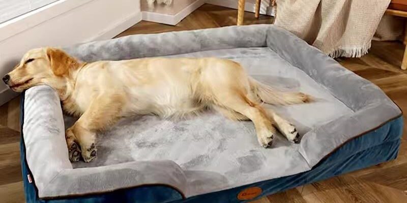 orthopedic dog sofa bed for large dogs