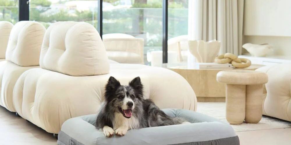 Custom washable orthopedic dog bed