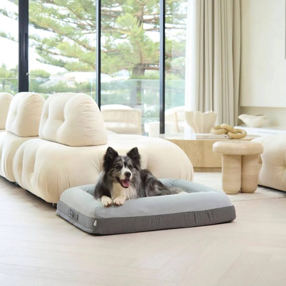 Custom washable orthopedic dog bed