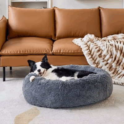 Cute calming donut pet bed for small dogs