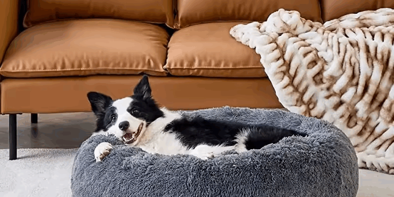 Cute calming donut pet bed for small dogs