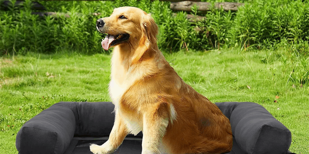 detachable padded bolster for large dogs