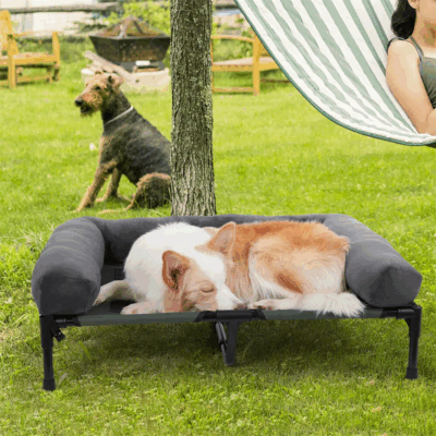 detachable padded bolster for large dogs