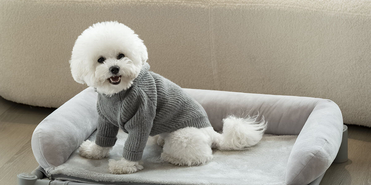 dog bed with removable bolster and blanket