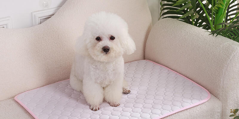 Washable ice silk dog cooling mat