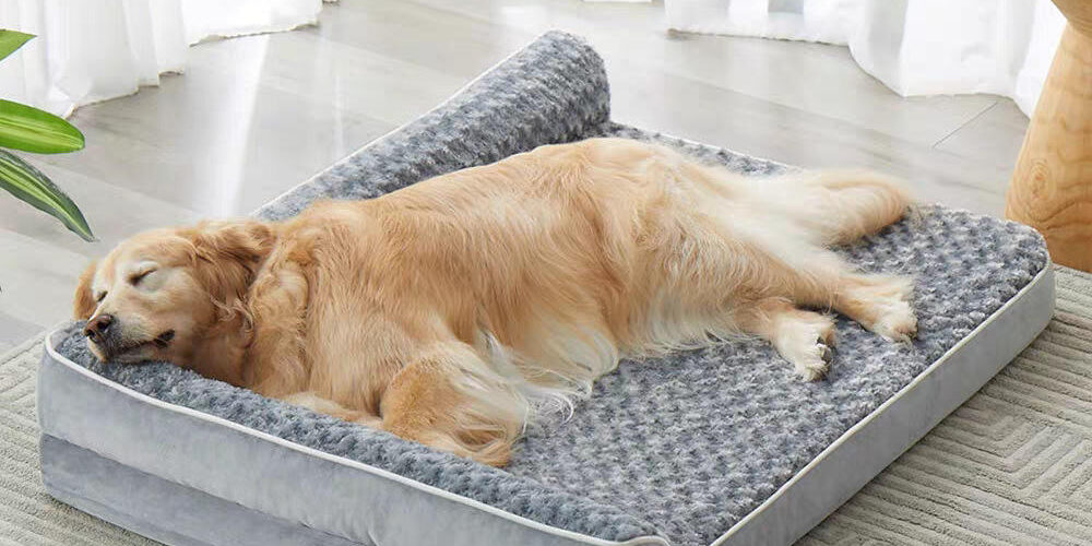 Large waterproof sofa dog bed