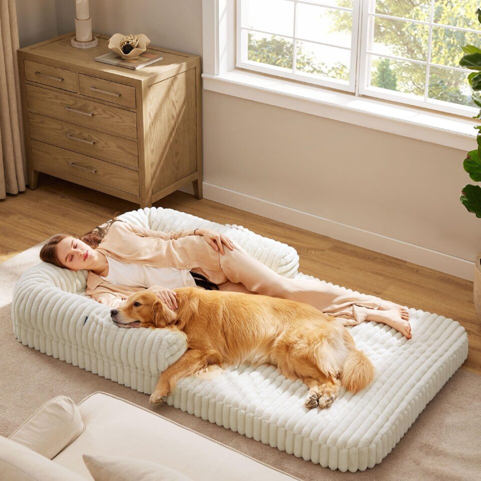 Foldable human dog bed with corduroy fleece