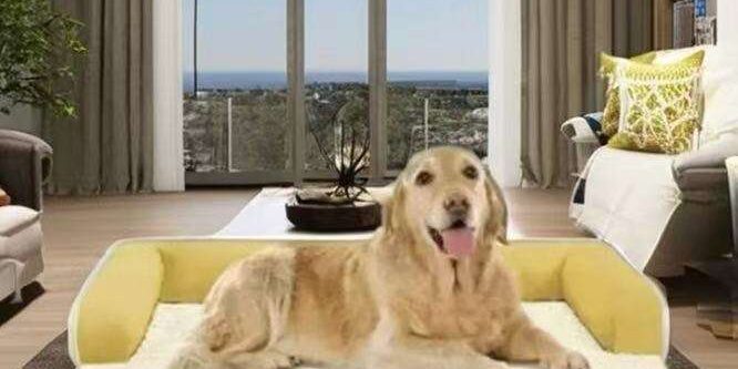 memory foam dog sofa bed for pets