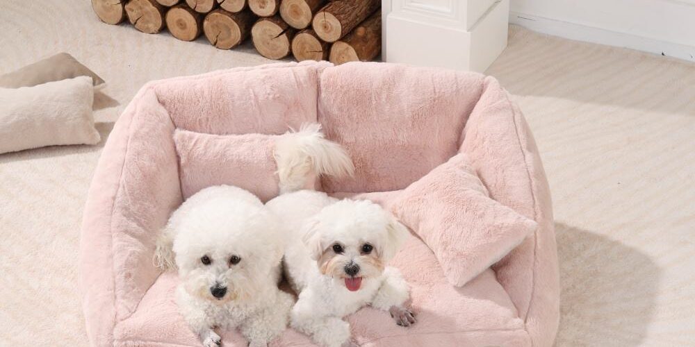 soft bolster dog bed with removable washable cover