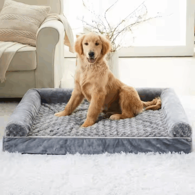 Waterproof dog couch bed for large dogs