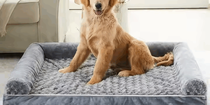 Waterproof dog couch bed for large dogs