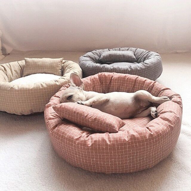 In stock donut dog bed