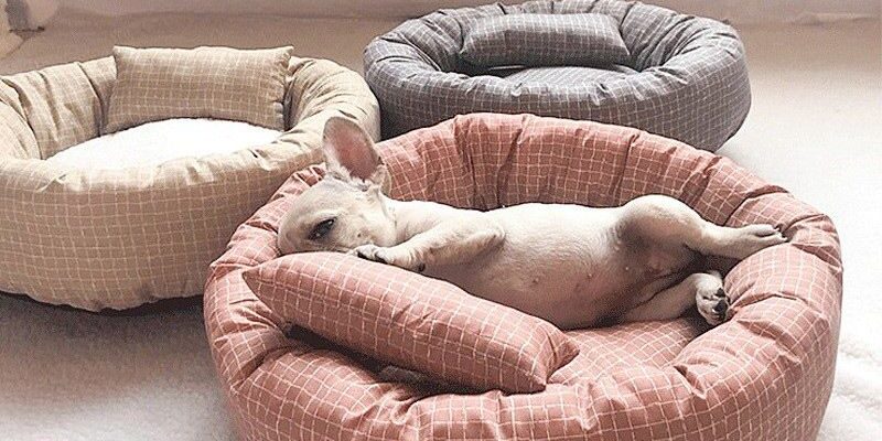 In stock donut dog bed