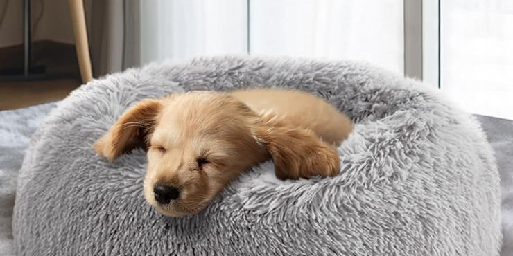 Luxury cozy calming donut pet bed