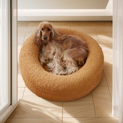 orthopedic dog bed with gel-infused foam