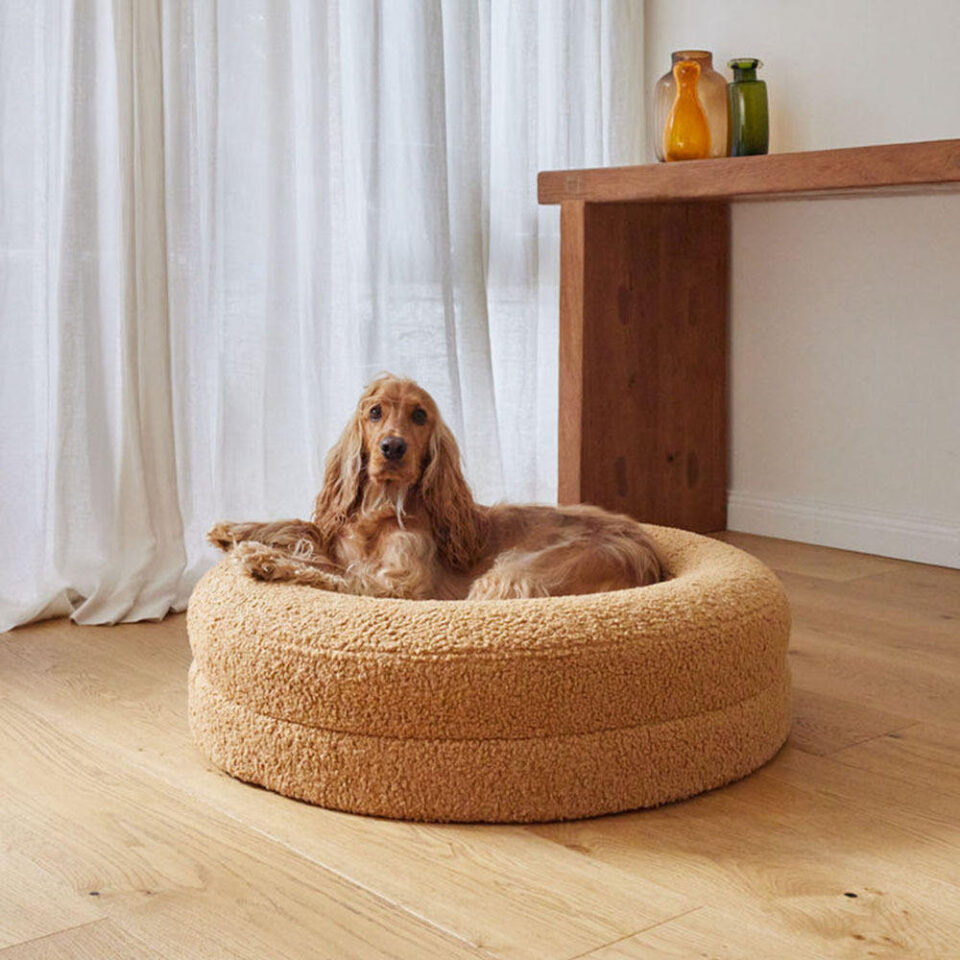 orthopedic dog bed with gel-infused foam