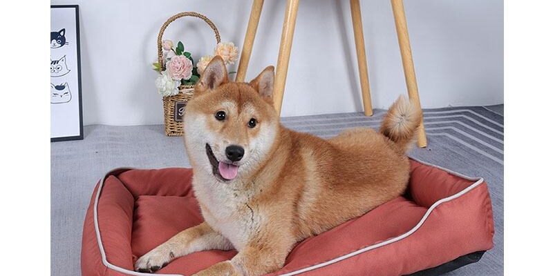 Luxury orthopedic waterproof dog bed