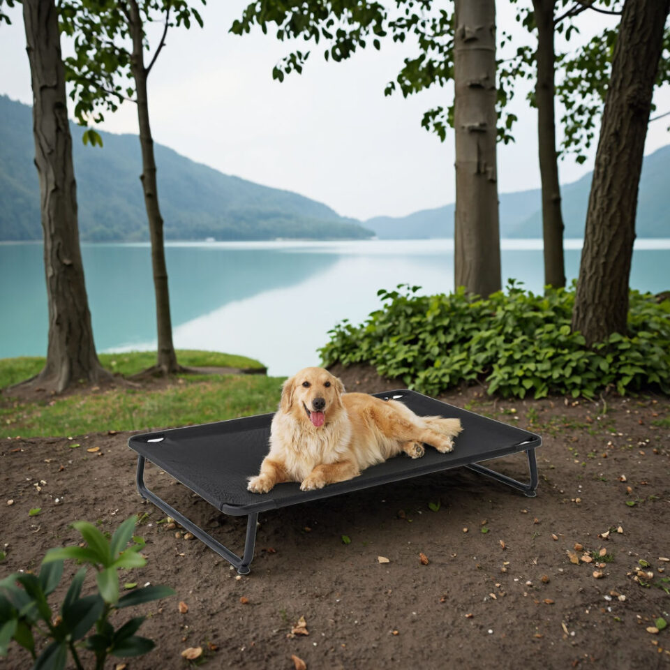 mesh dog bed for indoor and outdoor