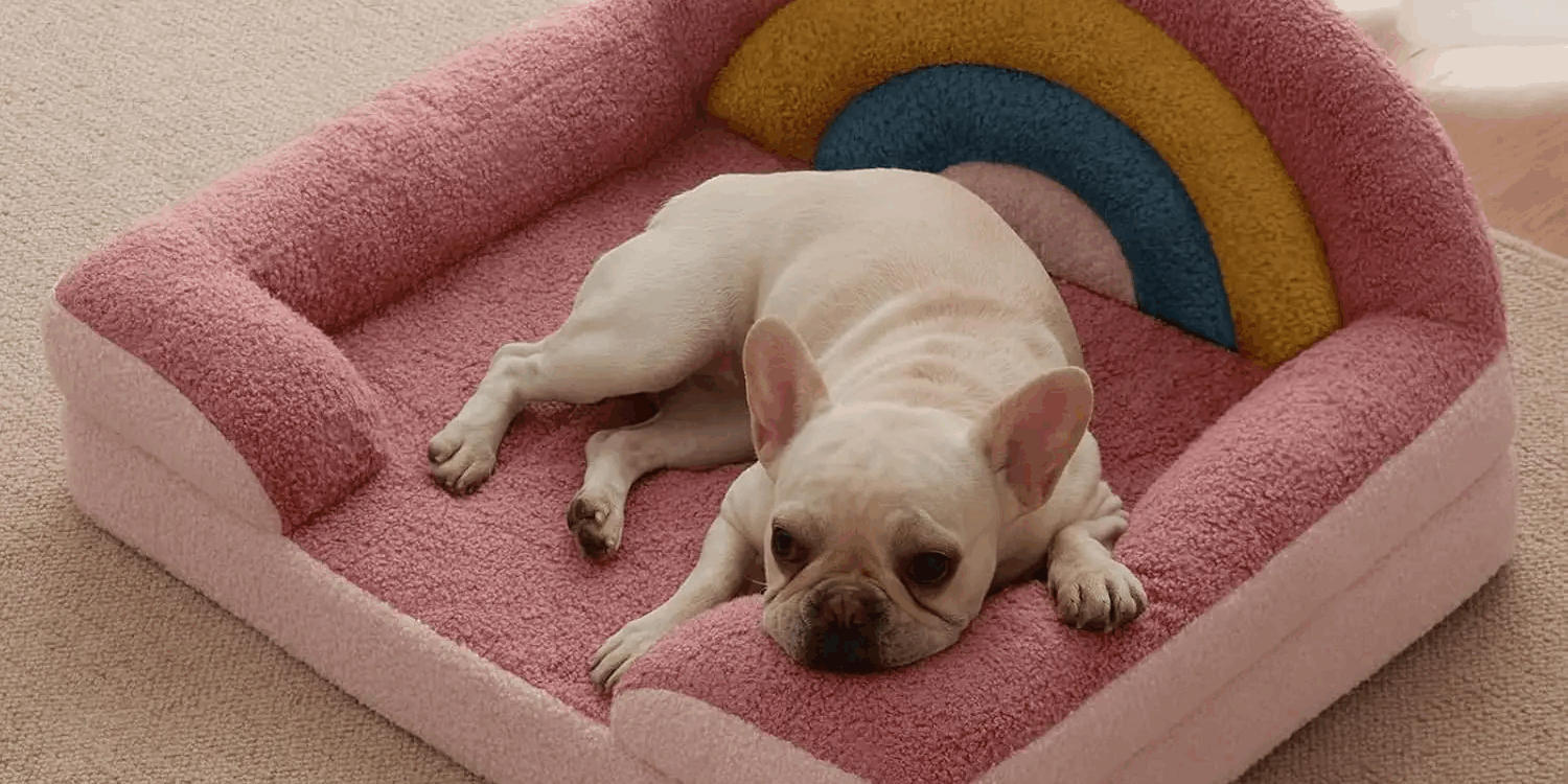 Orthopedic dog bed for medium dogs