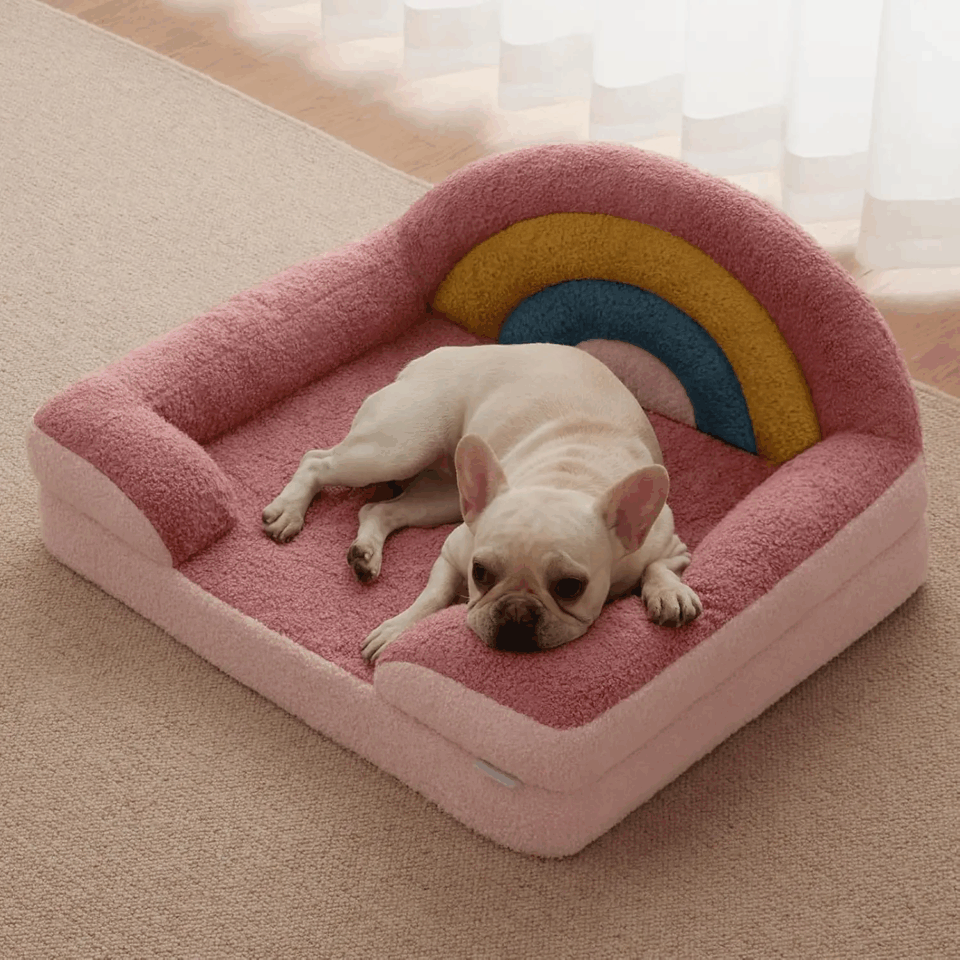 Orthopedic dog bed for medium dogs