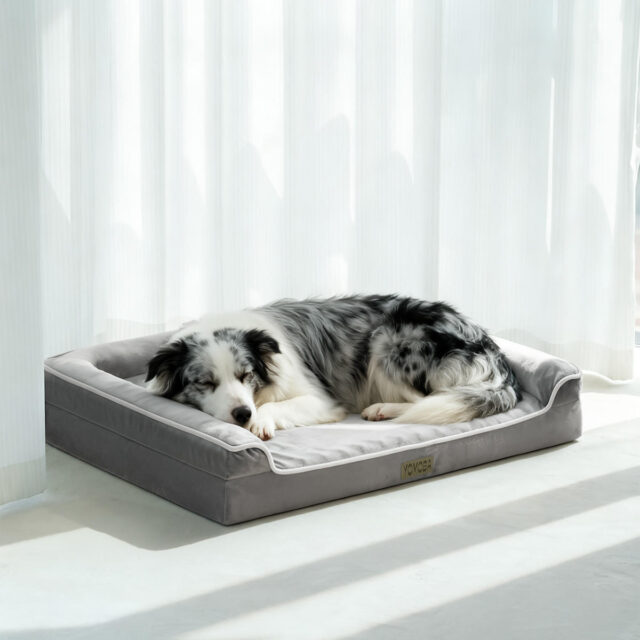 Orthopedic dog bed with soft foam