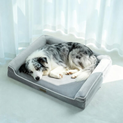 Orthopedic dog bed with soft foam