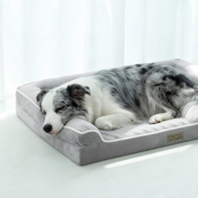 Orthopedic dog bed with soft foam