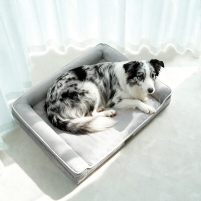 Orthopedic dog bed with soft foam