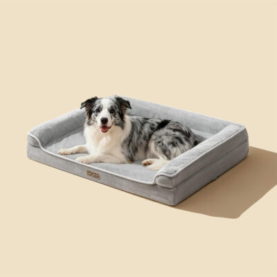 Orthopedic dog bed with soft foam