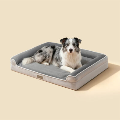 Orthopedic dog bed with soft foam
