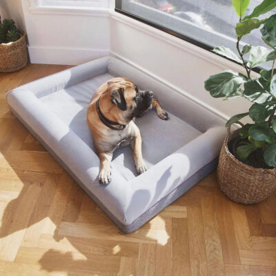 Custom orthopedic foam dog bed