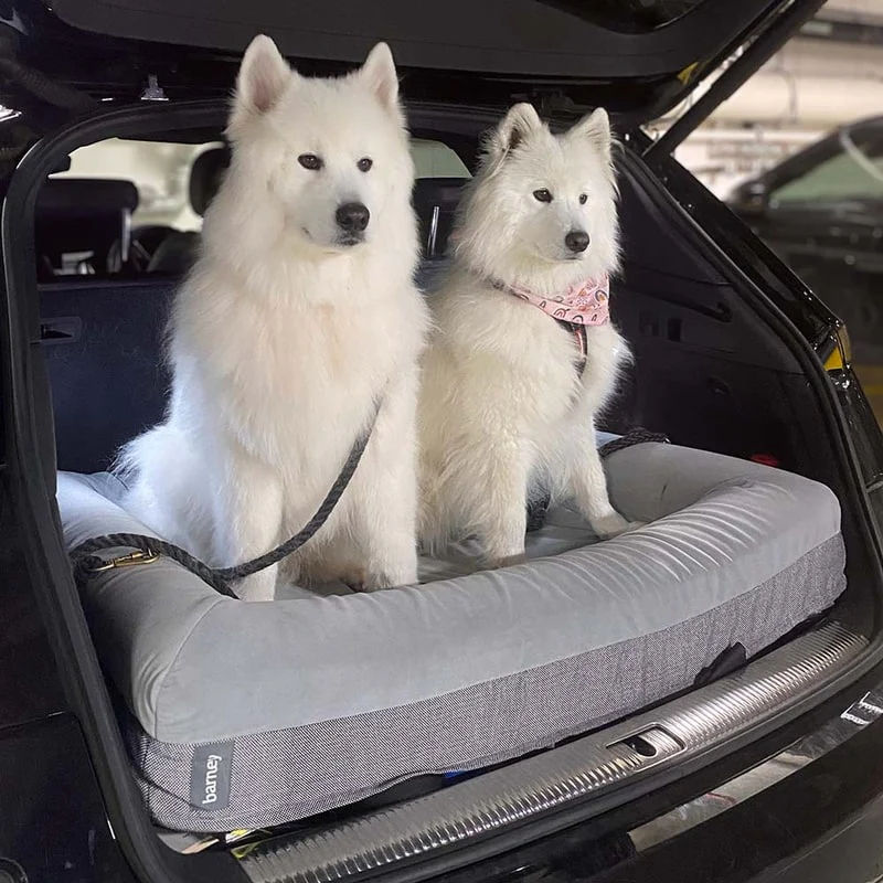 Custom orthopedic foam dog bed