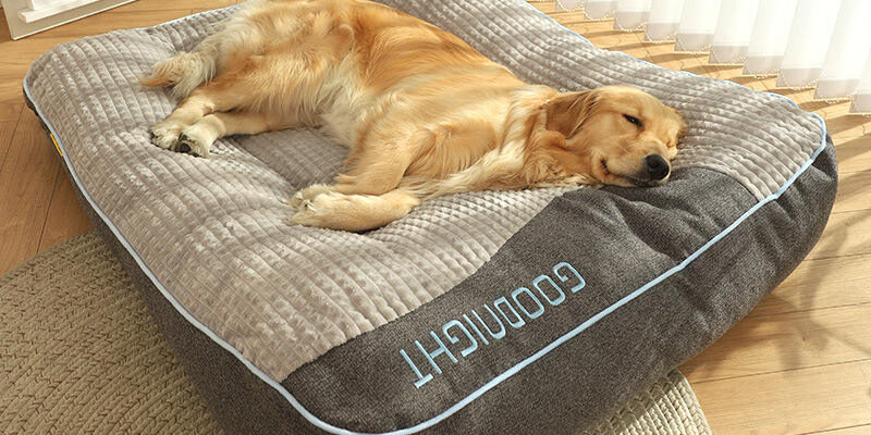 Luxury orthopedic memory foam dog bed