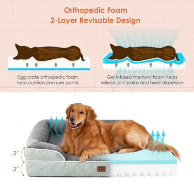 Modern orthopedic memory foam dog bed