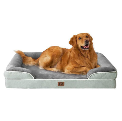 Modern orthopedic memory foam dog bed