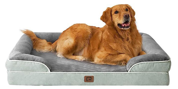 Modern orthopedic memory foam dog bed