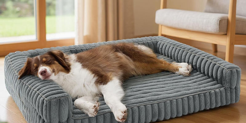 rthopedic dog sofa bed for winter